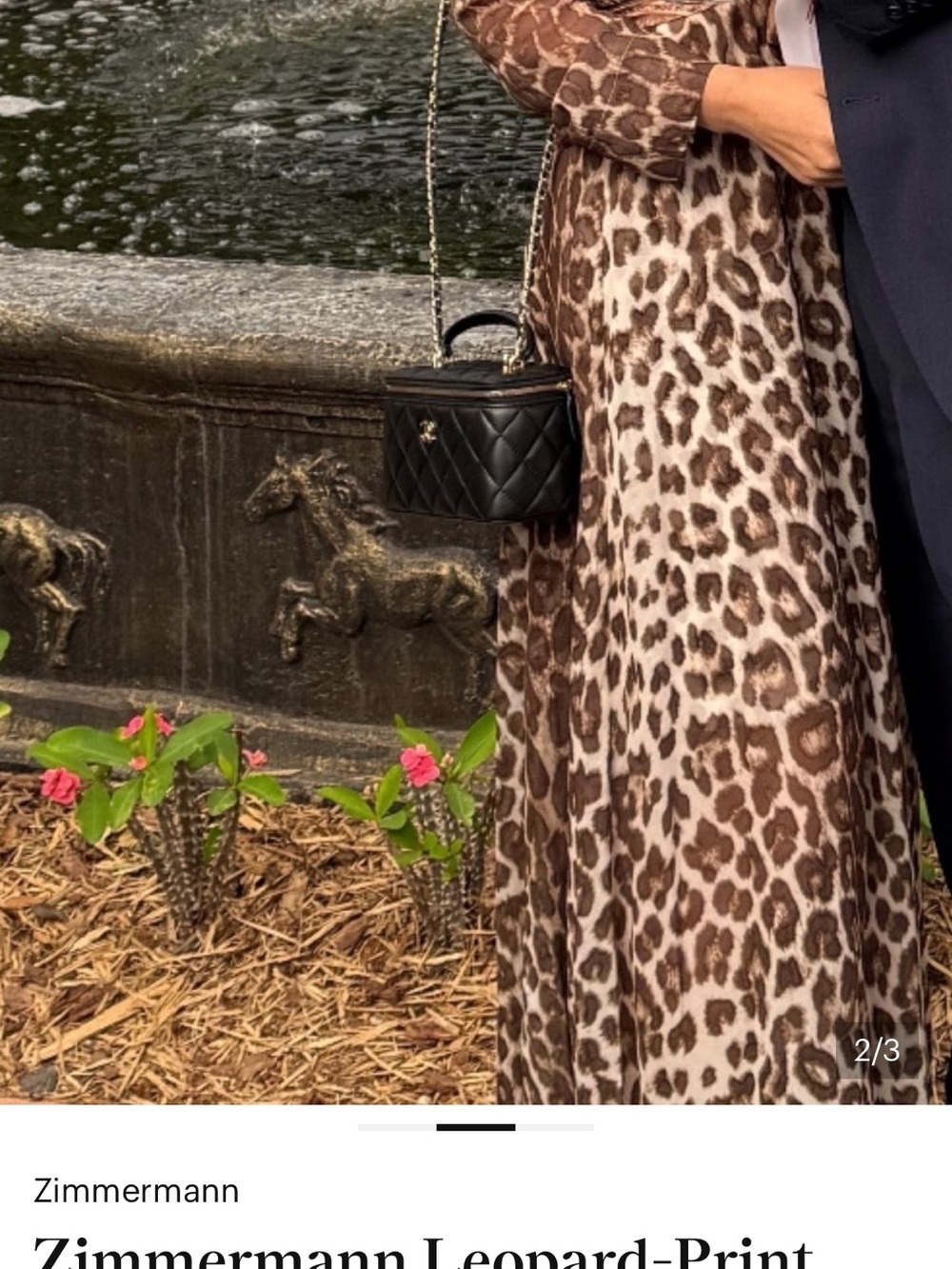 Zimmermann Leopard-Print Chiffon Belted Maxi Dress - Beige & Brown - Picture 2 of 3